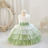 Children's Flower Girl Tutu Princess Dress Baby Girl's First Birthday Formal Party Dress