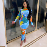 Long Sleeve High Neck Long Sleeve Fashionable Printed Long Dress
