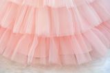 Children's Flower Girl Tutu Princess Dress Baby Girl's First Birthday Formal Party Dress