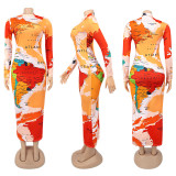 Long Sleeve High Neck Long Sleeve Fashionable Printed Long Dress