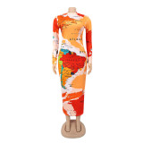 Long Sleeve High Neck Long Sleeve Fashionable Printed Long Dress