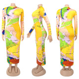 Long Sleeve High Neck Long Sleeve Fashionable Printed Long Dress