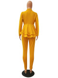 Fashion Ruffle Career Suit Casual Two Piece Set