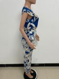 Fashionable Women's Printed Sleeveless Casual Two Piece Pants Set