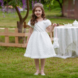 Children's Princess Dress Puff Sleeve Tutu Dress