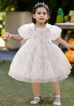 Girls' Puff Sleeves Princess Dresses Children's Dresses Girls' Puff Sleeves Princess Dresses Children's Dresses
