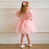 Children's Dress Girl's Princess Dress