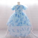 Children's Dress Girl's Princess Dress