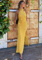 Women Summer Knitting Hollow Suspender Sexy Backless Sleeveless Split Dress Women Summer Knitting Hollow Suspender Sexy Backless Sleeveless Split Dress