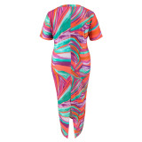 Plus Size Geometric Pattern Print Short Sleeves V-Neck Dress
