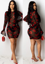 Women's Red Lip Print See-Through Mesh Club Dress Women's Red Lip Print See-Through Mesh Club Dress