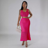 Women tassel fishnet knitting Casual Top and Skirt two-piece set