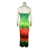 Women's  Print Strapless Nightclub Long Dress