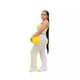 Women knitting sleeveless Top and Bell Bottom Pant two-piece set