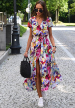 Women's Holidays Polka Dot Print Lace-Up Slim Waist V-Neck Short Sleeve Maxi Dress