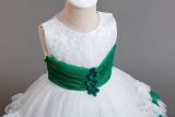Girls dress lace tutu princess dress