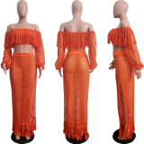 Summer Hollow Sexy Fashion Mesh Tassel See-Through Two-Piece Skirt Set
