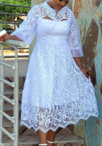 Sexy Women's Three Quarter Sleeve Lace Mesh Party Dress