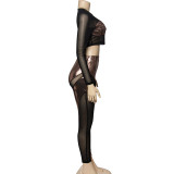Spring Solid Color Long Sleeve Mesh Patchwork Sexy High Waist Women's Two Piece Pants Set