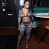 Plus Size Women Spring and Summer Sexy Lace Long Sleeve Top and Printed Pants Two-piece Set