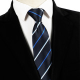 Spring Men's Business Tie