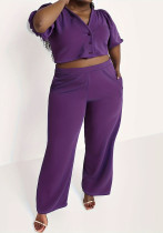 Stylish Casual Plus Size Solid Color short sleeve Two-piece pants Set Stylish Casual Plus Size Solid Color short sleeve Two-piece pants Set