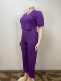 Stylish Casual Plus Size Solid Color short sleeve Two-piece pants Set