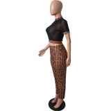 Women summer sexy mesh See-Through Top and Pant two-piece set
