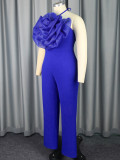Women Sleeveless Strapless Mesh Flower Jumpsuits
