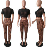 Women summer sexy mesh See-Through Top and Pant two-piece set