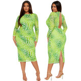 Plus Size Women Long Sleeve Slit Half Turtleneck Dress