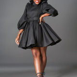Women's Fashion Chic Puff Sleeve Slim Waist Chic A-Line Dress