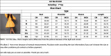 Women's Fashion Chic Puff Sleeve Slim Waist Chic A-Line Dress