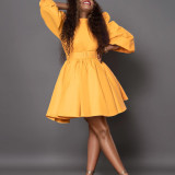 Women's Fashion Chic Puff Sleeve Slim Waist Chic A-Line Dress