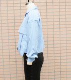Spring Autumn Women's Fashion Solid Color Long Sleeve Chic Casual Shirt