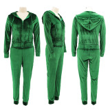 Women's Fashion Zipper Solid Color Women's Two Piece Pants Set