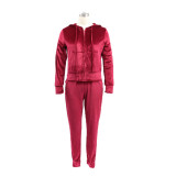 Women's Fashion Zipper Solid Color Women's Two Piece Pants Set
