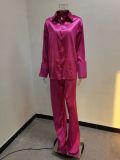 Solid Color Satin Long Sleeve Casual Two Piece Pants Set Trendy Lounge Wear