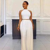 Women Sexy Pleated Sleeveless Top Wide Leg Pants Two-piece Set