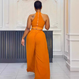 Women Sexy Pleated Sleeveless Top Wide Leg Pants Two-piece Set