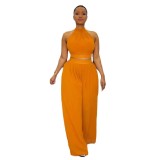 Women Sexy Pleated Sleeveless Top Wide Leg Pants Two-piece Set