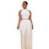 Women Sexy Pleated Sleeveless Top Wide Leg Pants Two-piece Set