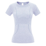 Women Round Neck Yoga Wear Short Sleeve Top
