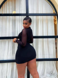 Women Halter Neck Sexy Mesh Patchwork Long Sleeve Bodycon Dress
