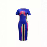 Women Print Short Sleeve Dress