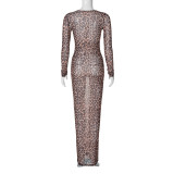 Women Summer Sexy Mesh Print See-Through Long Sleeve Dress
