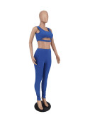 Women Sleeveless Top and Pant Two-piece Set