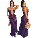 Sexy See-Through Mesh Solid Color High Slit Dress