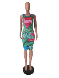 Women's Sexy Sleeveless Printed Bodycon Dress