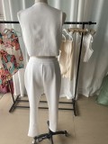 Women's Spring And Summer Fashionable Sleeveless Cropped Vest High Waist Pants Women's Two-Piece Set